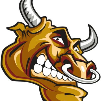 BULL HD0503 RQC Thumbnail