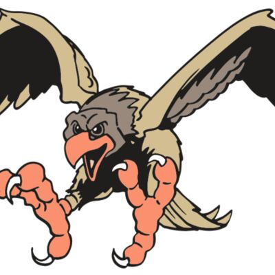 AR EAGLE 15 RC Thumbnail