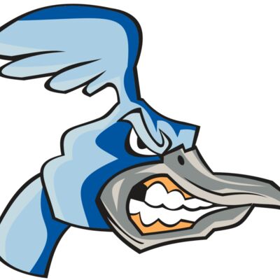 ROADRUNNER HD0503 RQC Thumbnail